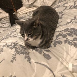 Meet your Posher, Brent